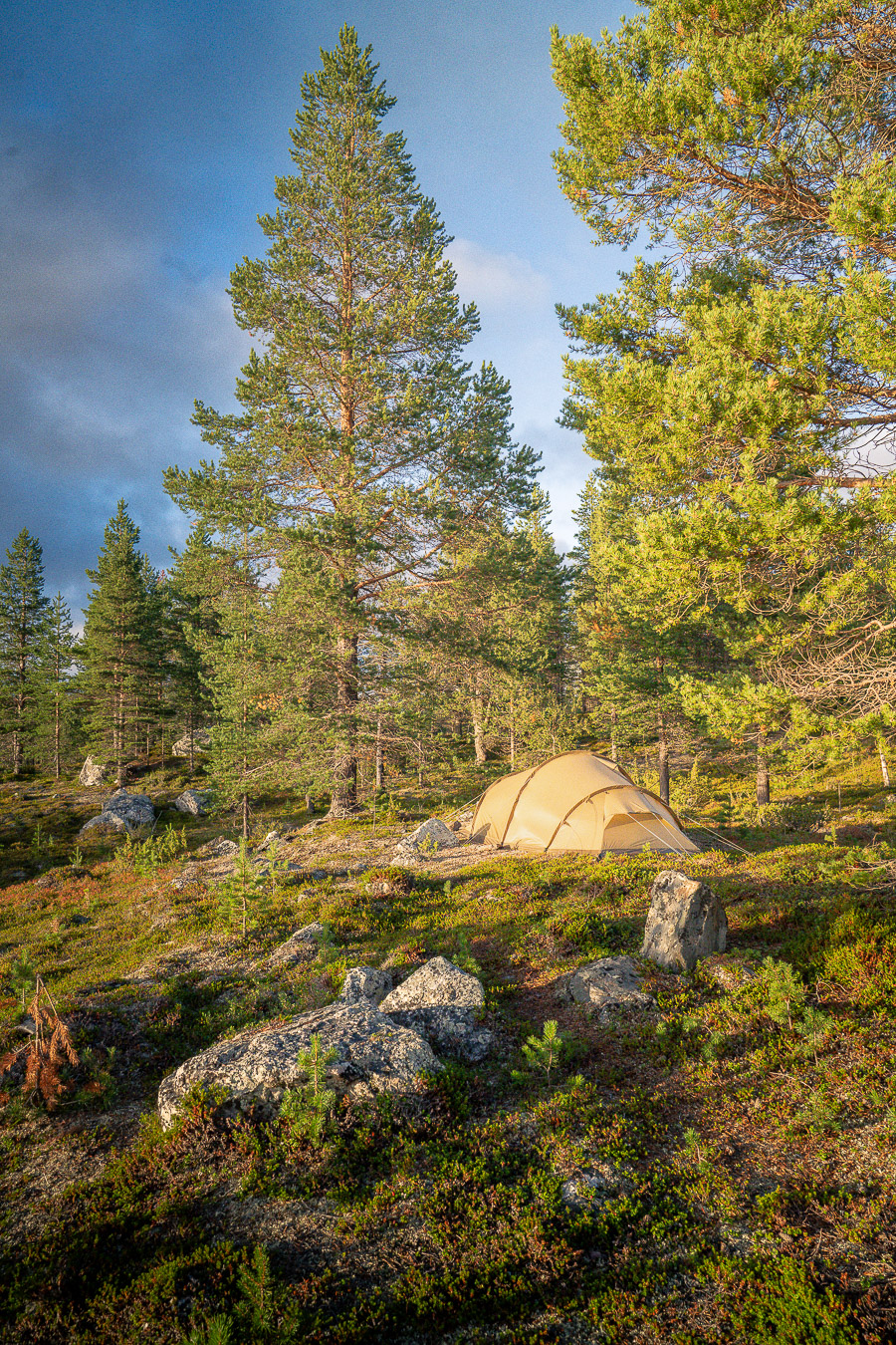 Kesä